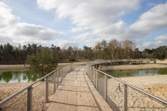 Bergse-heide-Mieke-1