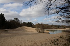 Bergse-heide-Mieke-3