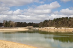 Bergse-heide-Mieke-4