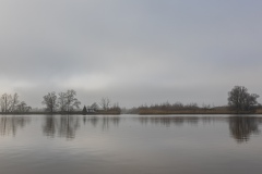 Biesbosch-1