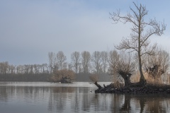 Biesbosch-4