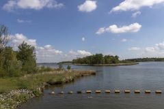Biesbosch25
