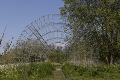 Biesbosch26