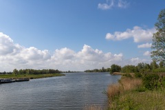 Biesbosch9