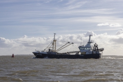 Nat3-Wadden-Mieke-13
