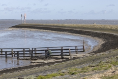 Nat3-Wadden-Mieke-14