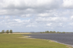 Nat3-Wadden-Mieke-16
