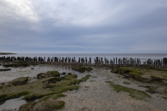 Nat3-Wadden-Mieke-35