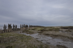 Nat3-Wadden-Mieke-7