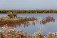 Marker wadden4