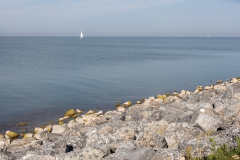 Marker wadden5