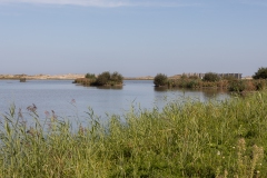 Marker wadden6