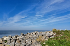 Marker wadden7