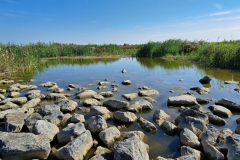 Marker wadden8