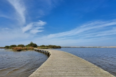 Marker wadden9