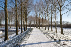 winter
