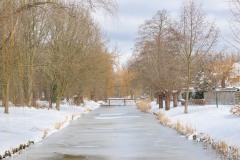 winter20