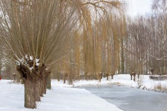 winter21