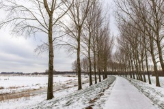 winter26