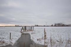 winter29