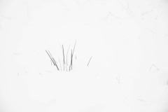 winter30