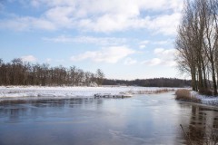 winter34