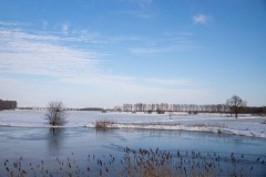winter36