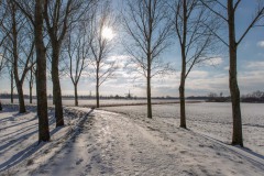 winter38