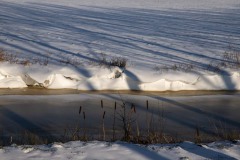 winter39
