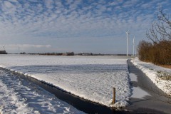 winter41