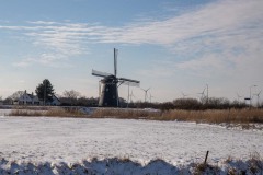 winter43