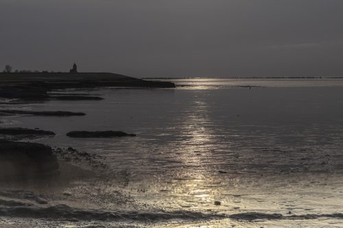 Nat3 Wadden Mieke (1)