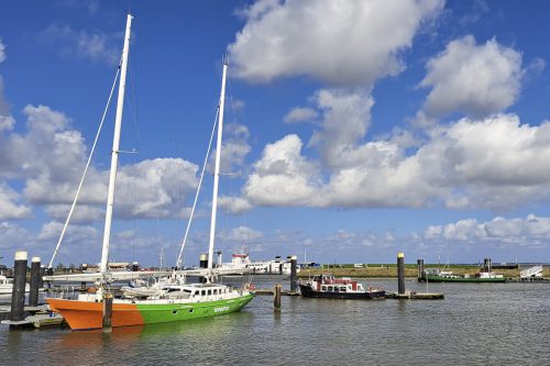 Nat3 Wadden Mieke (15)