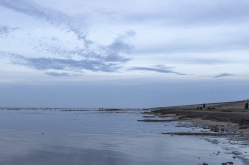 Nat3 Wadden Mieke (25)