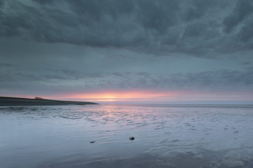 Nat3 Wadden Mieke (9)